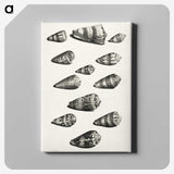 1-38_Maria-Sibylla-Merian_canvas