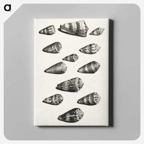 1-38_Maria-Sibylla-Merian_canvas