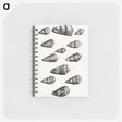 1-38_Maria-Sibylla-Merian_memo