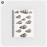 1-38_Maria-Sibylla-Merian_memo