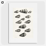 1-38_Maria-Sibylla-Merian_picture