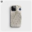 1-38_Mark-Catesby_phone