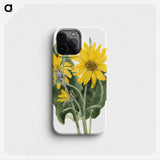 1-38_Mary-Vaux-Walcott_phone