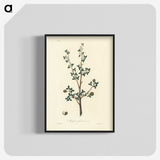 1-38_Medical-Botany_blk-crop