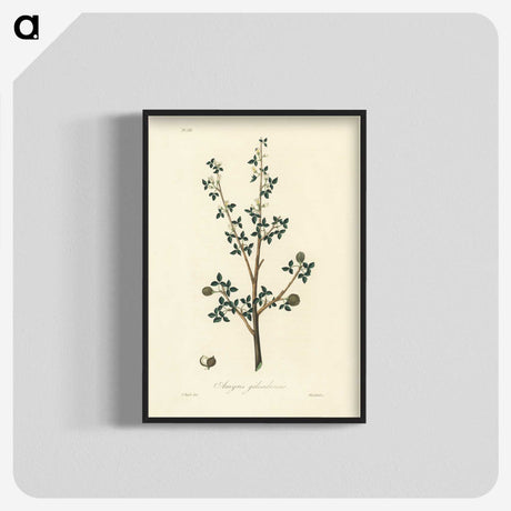 1-38_Medical-Botany_blk-crop