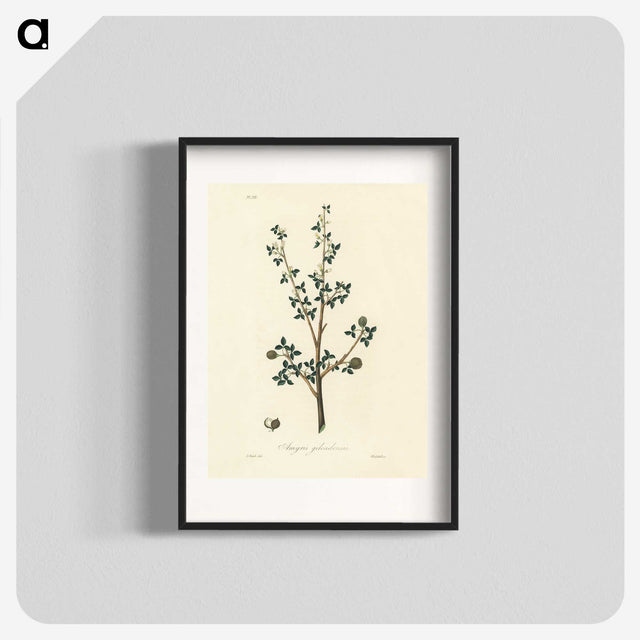 1-38_Medical-Botany_blk