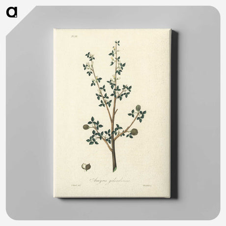 1-38_Medical-Botany_canvas