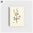 アートメモ帳-Torchwoods (Amyris gileadensis) Illustration
 - 薬用植物学 Memo.