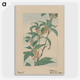 1-38_Megata-Morikaga_picture-crop