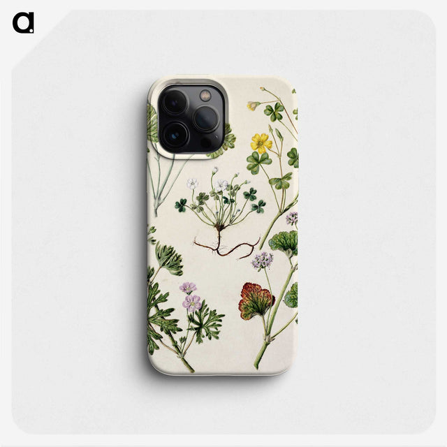 1-38_Native-Flowering-Plants-of-New-Zealand_phone