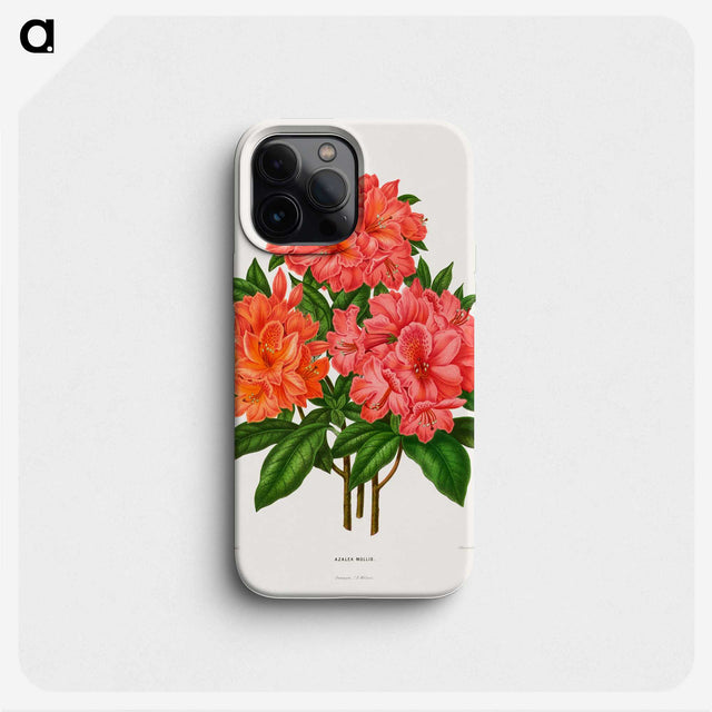 1-38_Nederlandsche-Flora-en-Pomona_phone