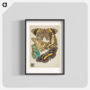 アートポスター-Vintage Butterflies
 - パピヨン Poster.