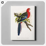 1-38_Parrots-in-Captivity_canvas