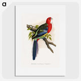 1-38_Parrots-in-Captivity_picture