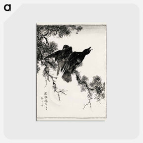 アートポストカード-Eastern Rook and Cypress on New Moon
 - 鳥類図鑑 Postcard.
