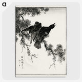1-38_Pictorial-Monograph-of-Birds_picture-crop