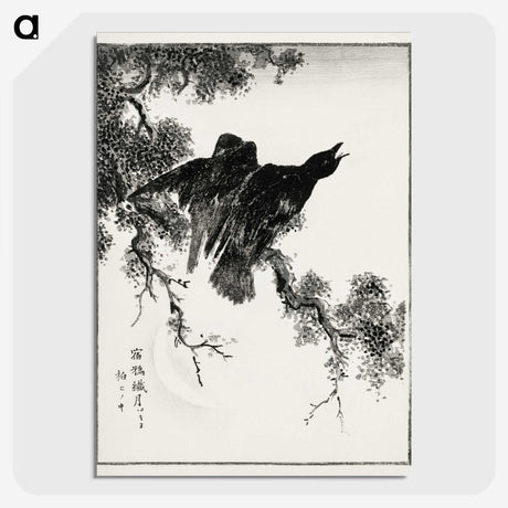 1-38_Pictorial-Monograph-of-Birds_picture-crop