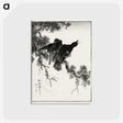 1-38_Pictorial-Monograph-of-Birds_postcard