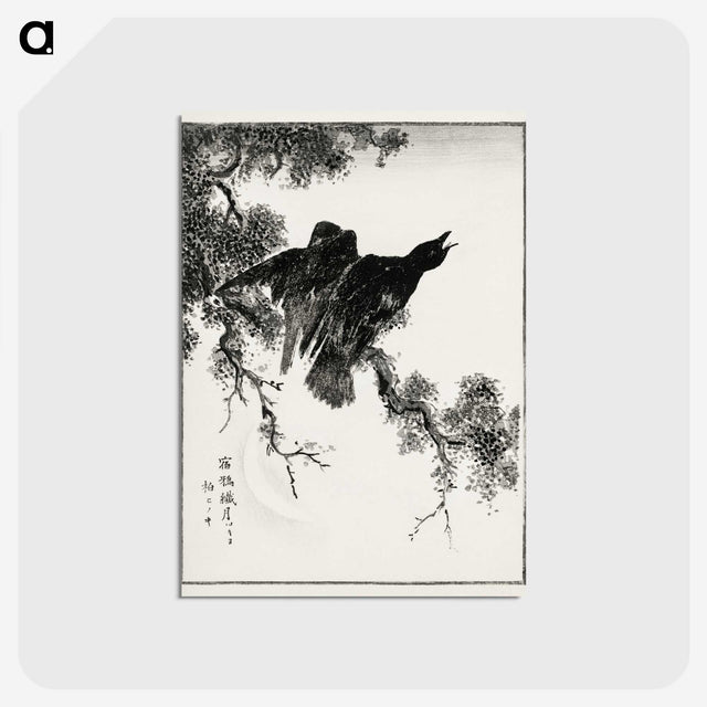 1-38_Pictorial-Monograph-of-Birds_postcard
