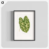 1-38_Plants-with-Colored-Foliage_blk