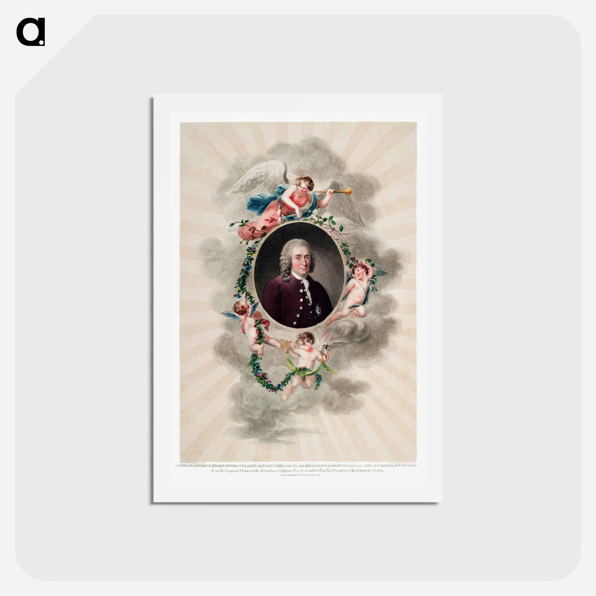 アートポストカード-Carl Linnaeus from The Temple of Flora
 - ロバート ジョン ソーントン Postcard.