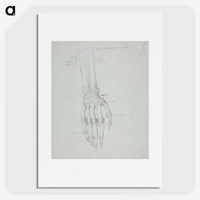 1-38_Robert-Wilhelm-Ekman_picture