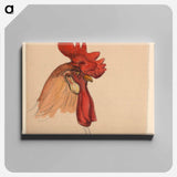 Head of a Rooster - サミュエル コールマン Canvas.