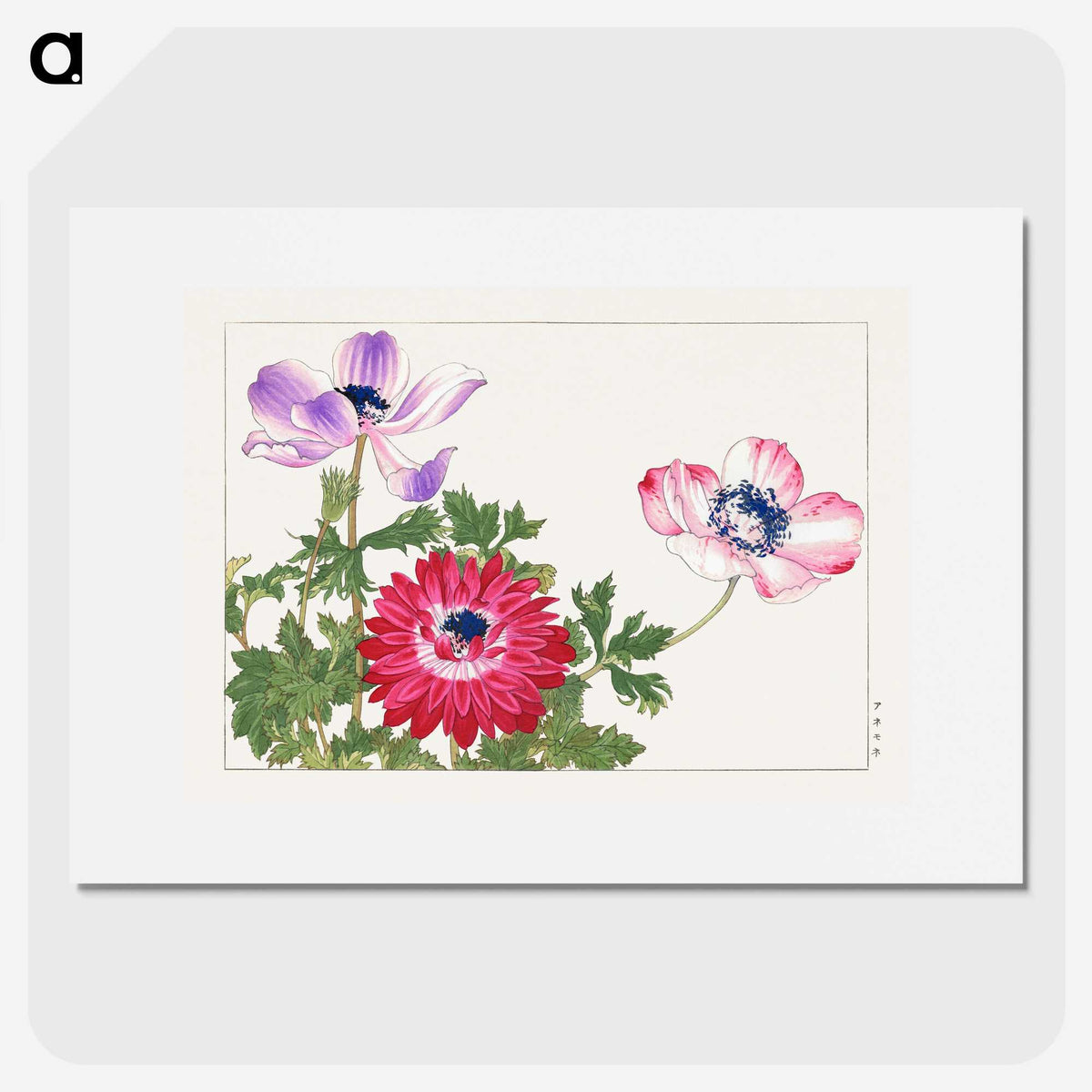 1-38_Seiyo-Soka-Zufu_picture