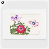 1-38_Seiyo-Soka-Zufu_picture