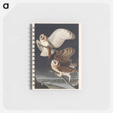 アートメモ帳-Barn Owl from Birds of America
 - アメリカの鳥たち Memo.