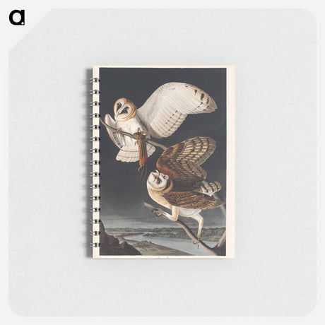 アートメモ帳-Barn Owl from Birds of America
 - アメリカの鳥たち Memo.