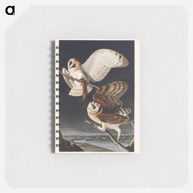 アートメモ帳-Barn Owl from Birds of America
 - アメリカの鳥たち Memo.