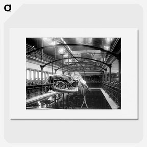 1-38_The-Burton-Brothers_picture