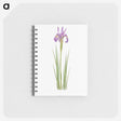 1-38_The-Genus-Iris_memo