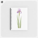 1-38_The-Genus-Iris_memo