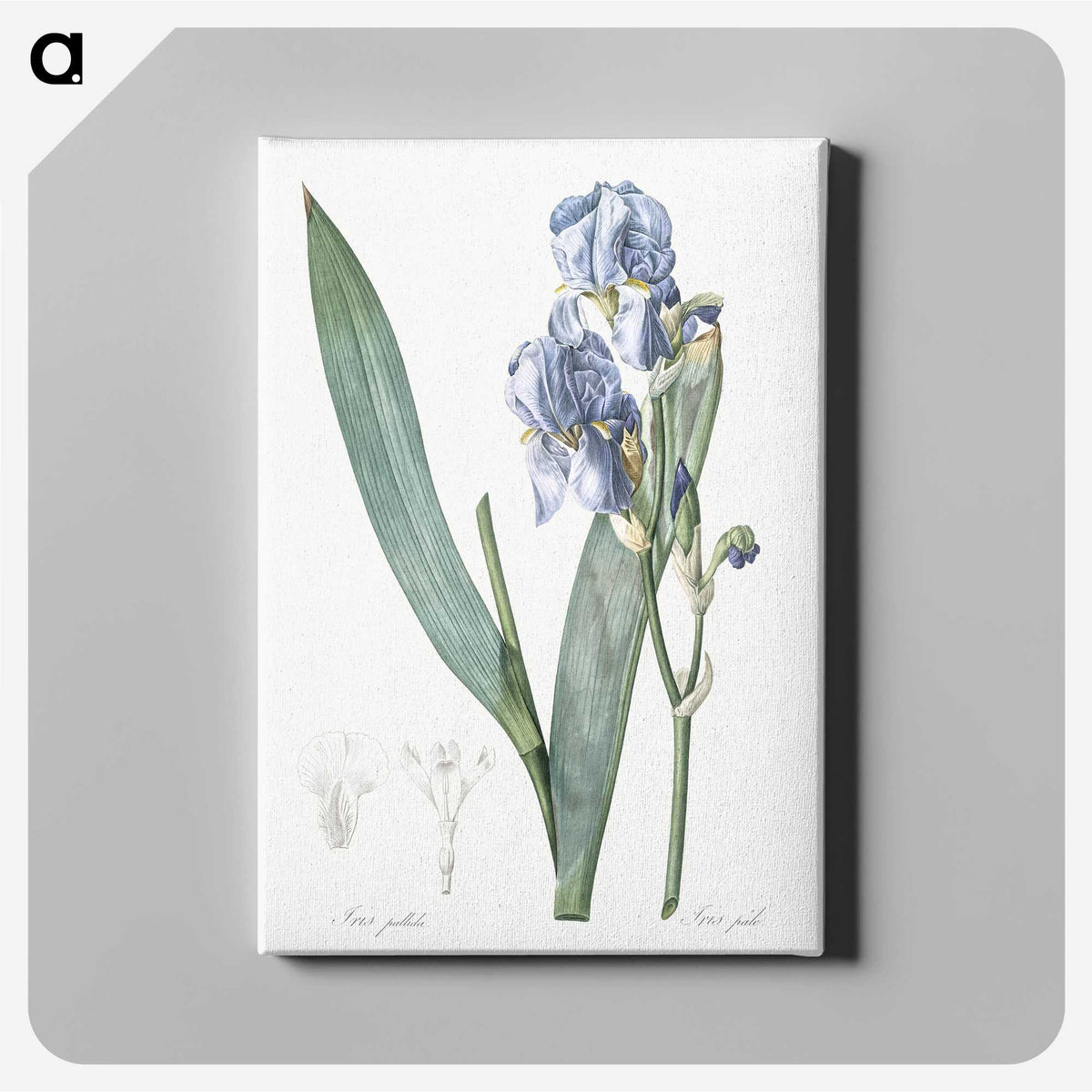 1-38_The-Lilies_canvas
