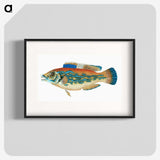 1-38_The-Natural-History-of-British-Fishes_blk
