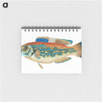 1-38_The-Natural-History-of-British-Fishes_memo