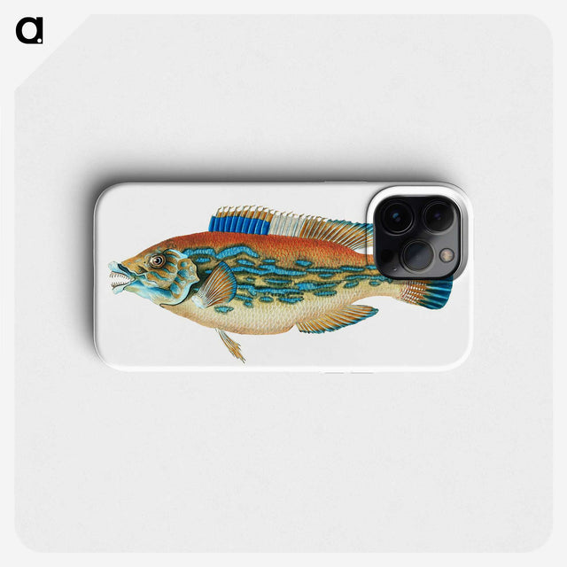 1-38_The-Natural-History-of-British-Fishes_phone