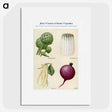 1-38_The-Open-Door-to-Independence_picture