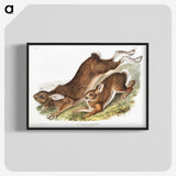 1-38_The-Viviparous-Quadrupeds_blk-crop