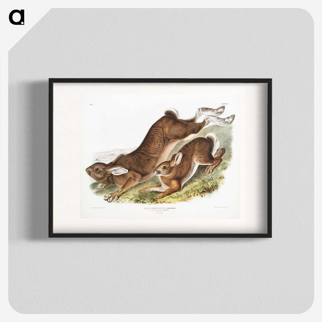 1-38_The-Viviparous-Quadrupeds_blk