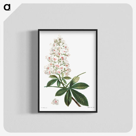 1-38_Treatise-on-Trees-and-Shrubs_blk-crop