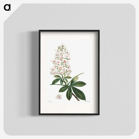 1-38_Treatise-on-Trees-and-Shrubs_blk