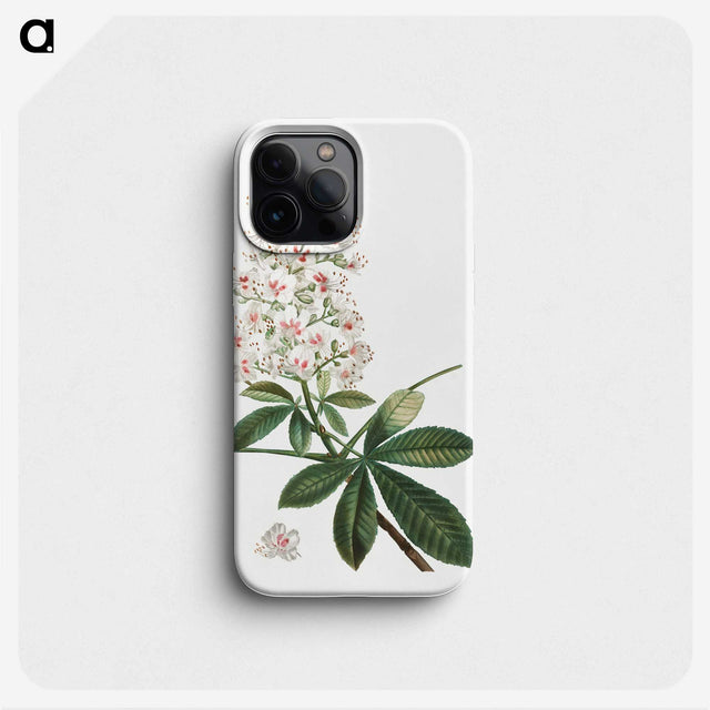 1-38_Treatise-on-Trees-and-Shrubs_phone