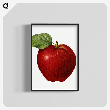 1-38_USDA-Watercolor-Fruit-Painting-Collection_blk-crop