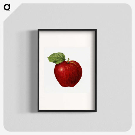 1-38_USDA-Watercolor-Fruit-Painting-Collection_blk