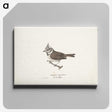 1-38_Wilhelm-von-Wright_canvas