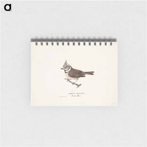 アートメモ帳-Crested tit - ヴィルヘルム フォン ライト Memo.