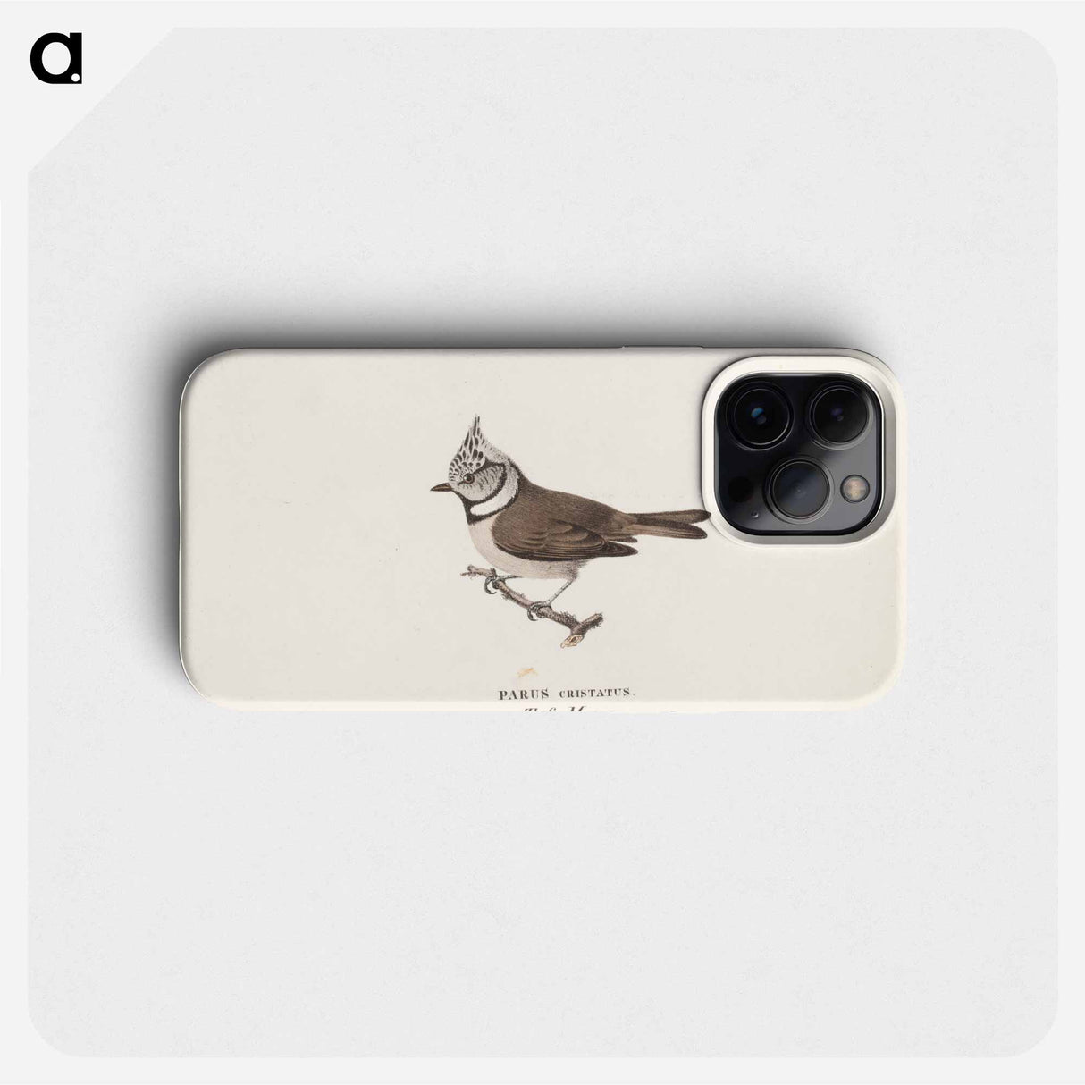 Crested tit - ヴィルヘルム フォン ライト Phone Case.